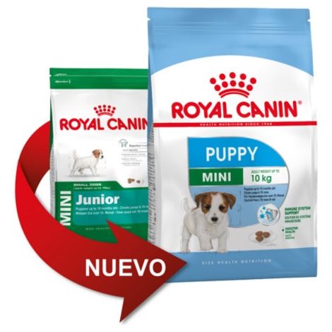 ROYAL CANIN CROCCHETTE PUPPY-MINI PER CUCCIOLI 800GR