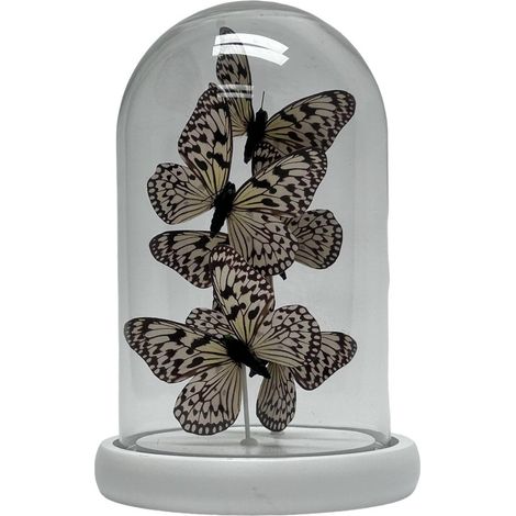 Papillon Blanc YF-06 - Élément Décoratif pour la Maison et la Décoration d'Intérieur - PANGIVO (1/5)