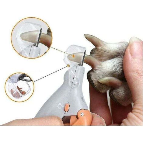 Ciseaux coupe-ongles professionnel pour chiens et chats – Lame en acier inoxydable – Lumière LED pour coupe précise – Ergonomique 15 x 9 cm (1/5)
