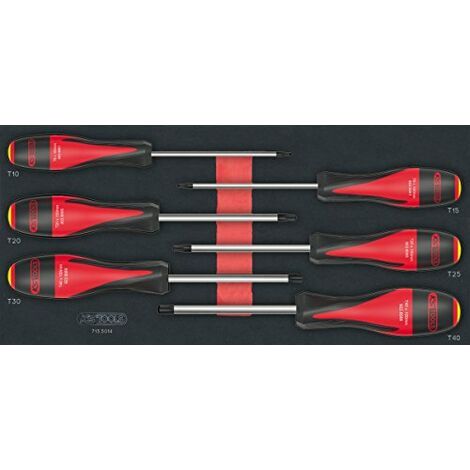 Modulo di cacciavite ULTIMATE TORX® forato, 6 pezzi