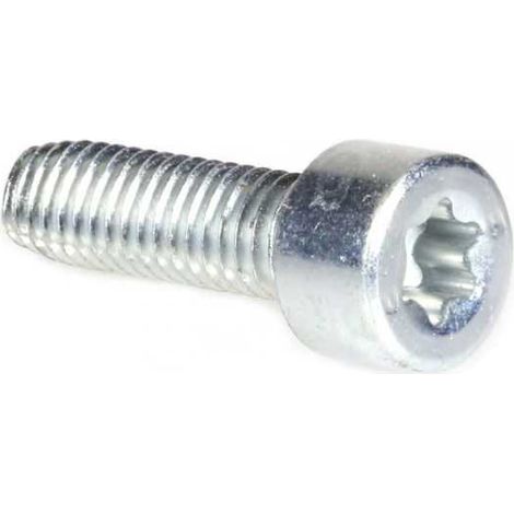 Vis Torx 27 M6 x 20 pour tronçonneuse Stihl 024 MS240 (1/5)