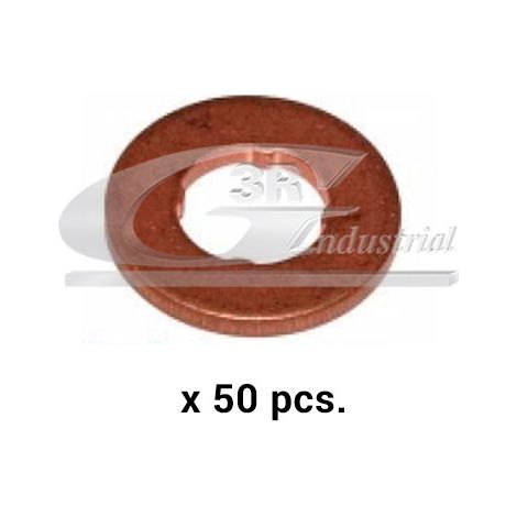 3RG 83244 ARANDELA INYECTOR (PACK 50 PCS)