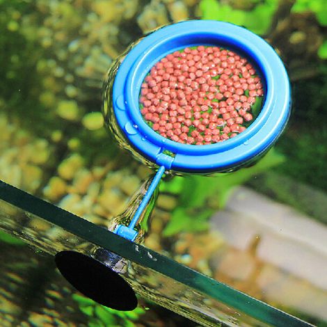 Runder Futterspender für kleine tropische Fische und kleine Goldfische, für Aquarien. (1/4)