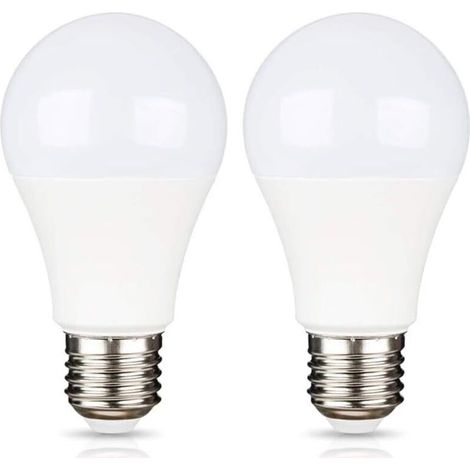 E27 9W 220V LED Blanc Froid 6500K pour Camping, Équivalent Halogène 75W, Ampoule LED AC DC 12 Volt 24 Volt E27 pour Pannneau Solaire/Garage/Jardin, non-dimmable, lot de 2 [Classe énergétique A+]
