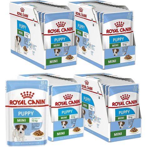 Cibo per cuccioli ROYAL CANIN SHN Mini in salsa, 48 pezzi da 85 g (1/3)