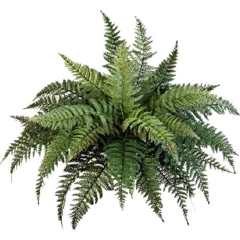 Fougère des forêts artificielle Plastique 35 ramures D 70 cm en piquet