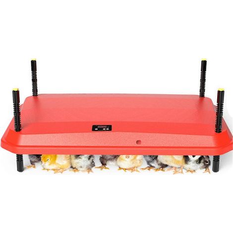 Plaque chauffante électrique pour poussins, hauteur réglable, compatible avec les cages à poussins et les prises américaines. (1/4)