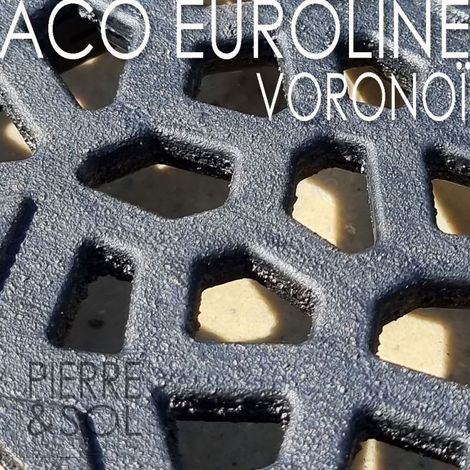 Grille Voronoï en fonte pour caniveau – Longueur 50 cm – Classe B 125 kN pour passage de voiture – Esthétique moderne – ACO