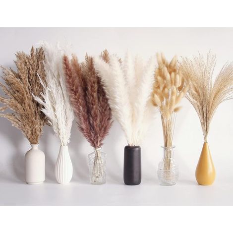 Pampa Séchée, Décoration de Table Boho, Fleurs Séchées de Queues de Lapin, Herbe de Pampa Brune et Blanche pour Mariage, Maison, Fête Rustique, Baby Shower (1/5)