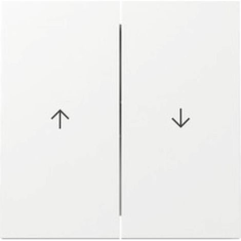 Gira Wippe 2f Pfeil 329470 (1/5)