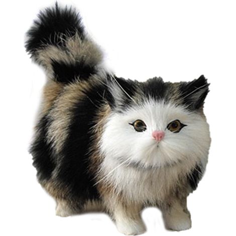 Jouet en Peluche Chat Doux et Moelleux - Cadeau de Noël ou Anniversaire (1/5)