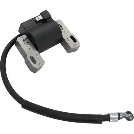 Bobina de encendido de alto voltaje compatible con los números de pieza 691060, 592846, 799651 y 499447. (1/4)