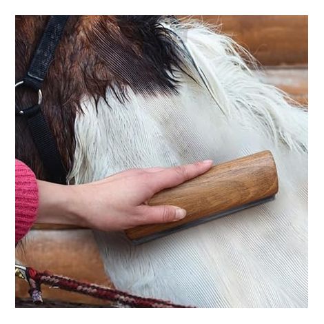 Wooden and Metal Horse Brush, 20 cm (1/4)