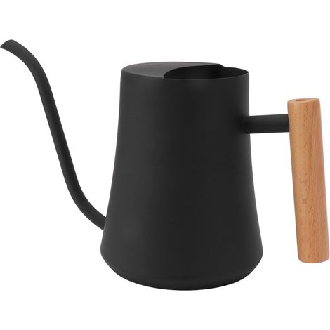 Arrosoir en acier inoxydable rétro 1000ML, pot d'arrosage pour plantes avec poignée en bois, pour intérieur et extérieur, noir (1/5)
