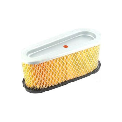 Filtro aria Briggs & Stratton (496894, 493909)