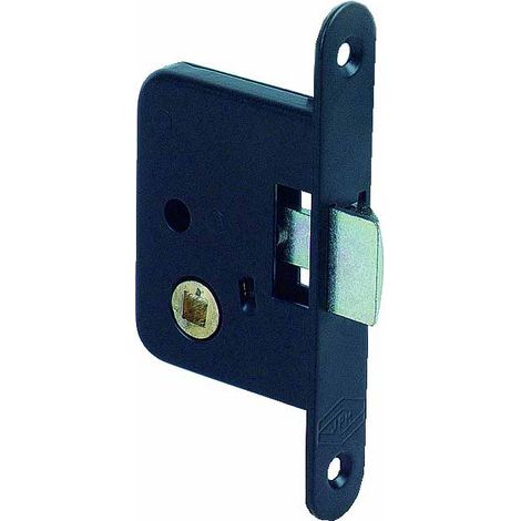 Serrure monopoint à larder petit coffre à bec de cane 40mm bout rond droite JPM 255000 02 1X