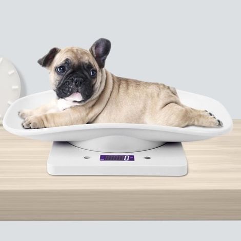 Digitale Waage – Nicht spezifiziert – 10 kg – 1 g Genauigkeit – Haustierfreundlich – Tragbar