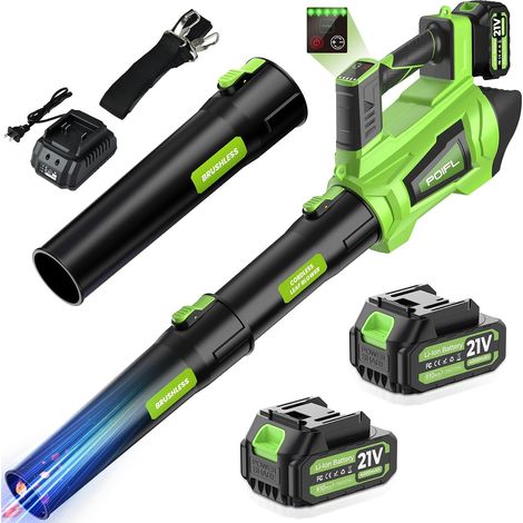 Souffleur Batterie, 32000RPM Souffleur de Feuille sans Fil,735 CFM 245 Km/h Souffleur Feuille avec 6 Vitesses, 2 x 4000MAh Batteries (1/5)
