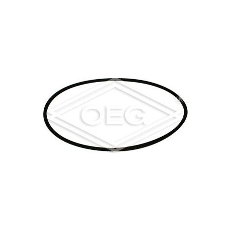 BOSCH O-Ring 92x3 Viton everp, 63002998