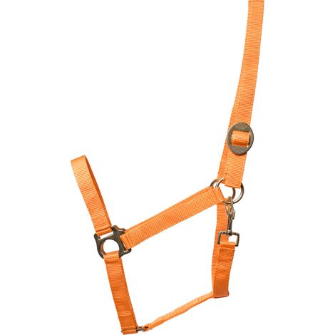 ELDORADO Pferde-Halfter standard - orange - Kaltblut