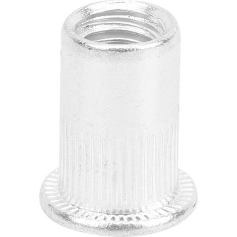 Lot de 100 écrous à sertir M8 en aluminium à tête plate et rainure verticale (1/5)