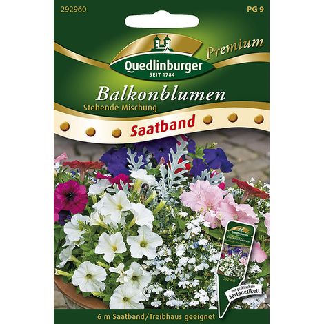 Quedlinburger Saatgut – Fleurs de balcon dressées en mélange – Ruban de semis 6 mètres, hauteur 10-25 cm