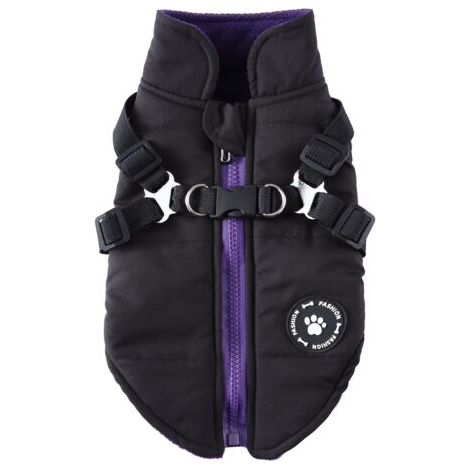 QORVA-Manteau imperméable rembourré pour chien – Coton chaud – Taille S – Protection contre le froid et l'humidité – Conception avec harnais intégré (1/5)