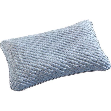 Oreiller en sarrasin naturel, matériau inodore, oreiller anti-affaissement, convient aux personnes dormant sur le côté et sur le ventre, coton respirant amovible, bleu (bt)-AquaForge (1/5)