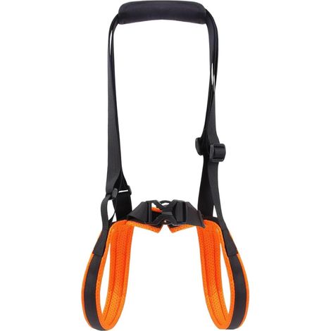 Sangle pour Pattes Arrière De Chien Ajustable Respirant Doux, Poignée Sangle de soutien pour pattes arrière, grand chiot Taille Moyenne Handicapé Blessé Escaliers Marche L (1/5)