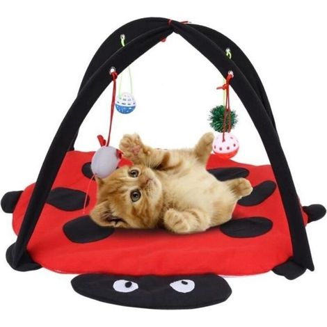 Alfombra de juegos, cesta, juguete, pelota, campana, ratón, pluma, cuna, almohada, gato, gatito, mascota