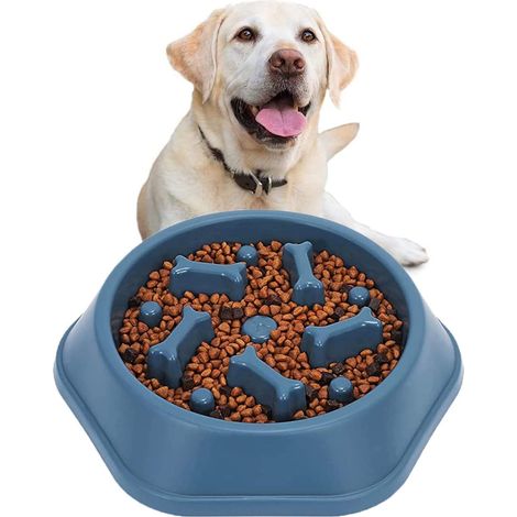 Gamelle anti-boulimie pour chiens et chats favorisant une alimentation saine et une digestion lente (bleue) (1/4)