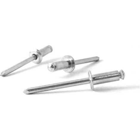 RIVETTO FLOREALE AL C/A 250 PZ