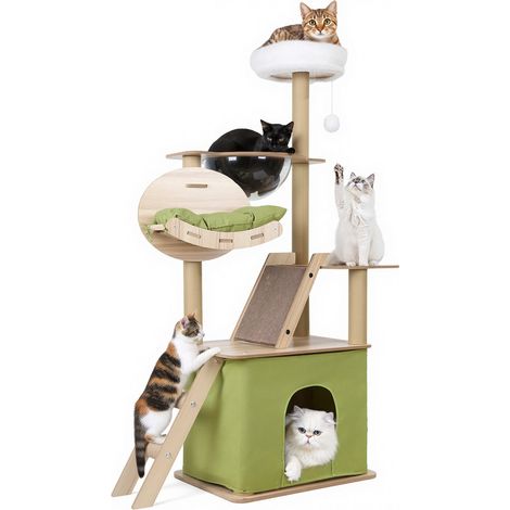 FIANAO - Arbre à Chat Hauteur de 145 cm - comprend un panier pour chat, une plateforme de saut, une capsule transparente, un jouet suspendu en peluche, un hamac et un griffoir - vert clair (1/5)