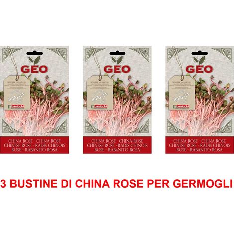 OFFERTA 3 CONFEZIONI DI SEMI BIO DI CHINA ROSE PER GERMOGLI 20GR SEMENZAIO SEMENTI