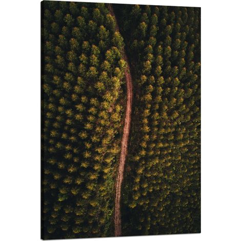 Leinwanddruck „Naturstraße aus der Vogelperspektive“, 80x120