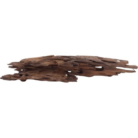 M Honey Comb Wurzel Nr.3748 Holz Deko Aquascaping