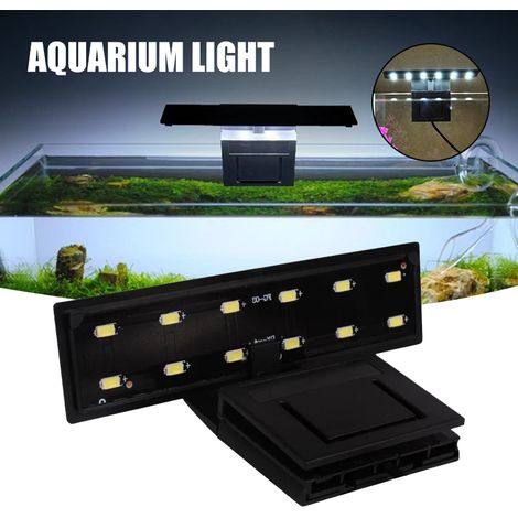 Lampe LED à pince pour aquarium, petite lampe LED décorative pour aquarium d'eau douce et d'eau de mer planté (1/5)