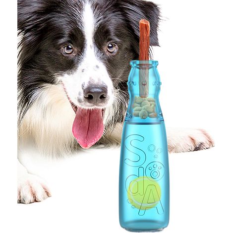 Water Bottle Toy for Dogs Cute Squeaky Indestructible Bottles