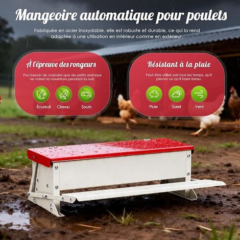Distributeur de nourriture pour poules en acier galvanisé mécanisme de marche avec marchepied couvercle distributeur de nourriture (1/4)