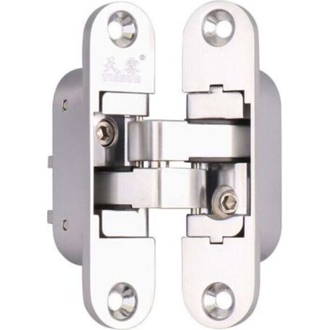 1 Invisible Hinge - 3D Aluminum. Satin stainless steel color. - RIGHT- (1/4)