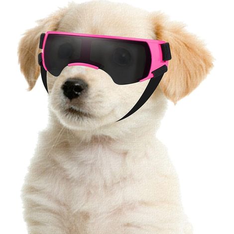 Faja abdominal para perros machos para la incontinencia, reutilizable, lavable, de algodón, pantalones sanitarios para mascotas (MPink) (1/5)