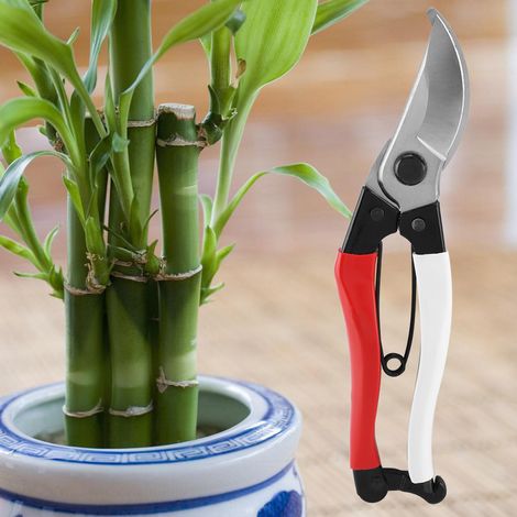 Handliche Gartengeräte für Zuhause: Gartenscheren, Trimmer, Gartengeräte (1/5)