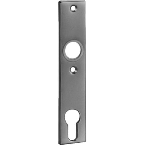 Piastra corta cilindro 497Z LM F1 / argento per PZ 72mm AMF (1/3)
