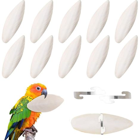 Lot de 10 Os de Seiche pour Oiseaux - Bloc Minéral Naturel pour Soin du Bec (1/5)