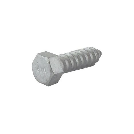Vite tipo Parker 5 x 18mm GGP - CASTELGARDEN 112731350/0