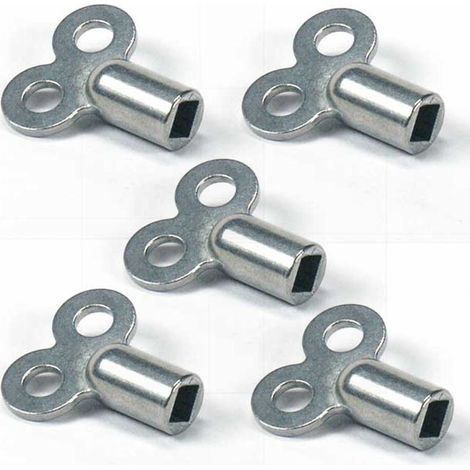 Lntyq Jeu de 5 Clés de Purge pour radiateurs - Clés de Purge résistants en alliage de zinc - Clés de Purge pour radiateurs pour de Nombreux radiateurs - Clé de Purge maniable pour chauffages(argent)