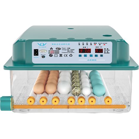 Brutkasten, Brutmaschine mit automatischer Eierwende und Feuchtigkeitsüberwachung, Brutkasten für Hühnereier, Brutkasten für 36 Eier mit Eierdurchleuchtung, für Enteneier, Wachteleier