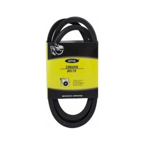 Courroie trapézoïdale lisse B41 17X11X1041 MM (1/3)