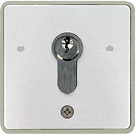 Selettore Serranda Con Chiave E Cilindro Europeo Compatibile Con 198-i