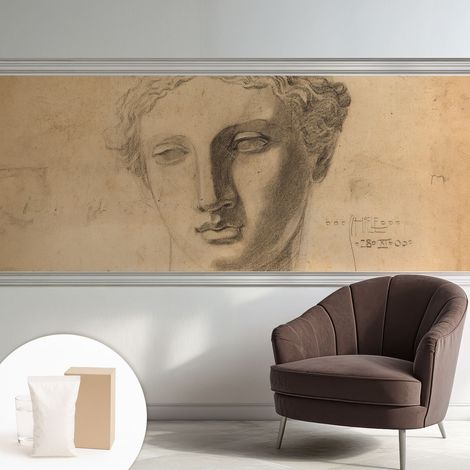 Carta Da Parati Non Tessuto - Decorazione Da Muro - Traspirante - Con Motivo - Per Camera Da Letto Cucina Ritratto di fidanzato 250x104 cm (1/5)